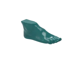 Fantôme de pied pour tomodensitométrie radiographie et radiothérapie Erler Zimmer