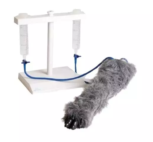 Simulateur d'injection canine Erler Zimmer
