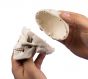 Modèle de crâne miniature en 3 parties avec socle 4650 Erler Zimmer