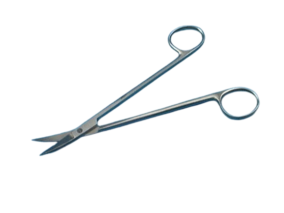Ciseaux Kelly, pointus, 16 cm, courbes