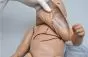 Simulateur de réanimation et de soins d'urgence (nouveau-nés) avec accès intraosseux et veineux