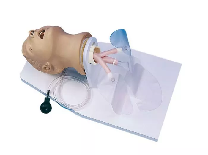 Modèle de tête d'intubation adulte R10014 Erler Zimmer