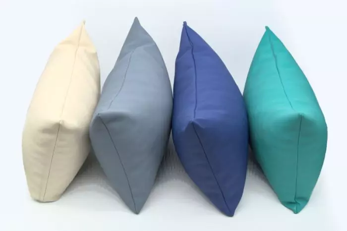 Coussin appui-tête/lombaire Mobercas gratuit