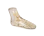 Fantôme radiographique du pied Erler Zimmer transparent