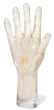 Fantôme radiographique de la main Erler Zimmer transparent