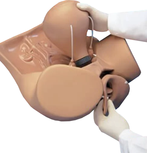 Simulateur gynécologique ZOE W45043