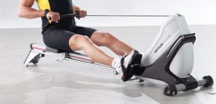 rameur les differents muscles sollicites par l appareil de musculation