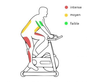 Quels sont les bienfaits du vélo d'appartement sur le corps ? -Enyeto Sport