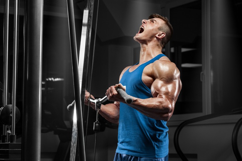 Decouvrez Les Meilleures Stations De Musculation Decouvrez Les Meilleures Stations De Musculation