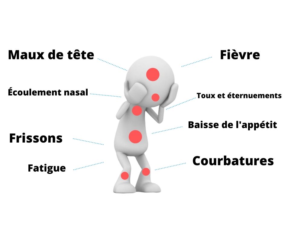 comment se proteger de la grippe